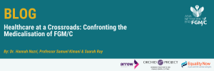 Healthcare at a Crossroads: Confronting the Medicalisation of FGM/C | Asia Network to End FGM/C